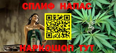 гидра Шахты