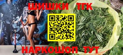 гидра Шахты