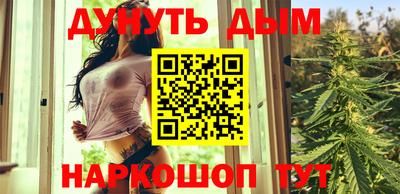 гидра Шахты