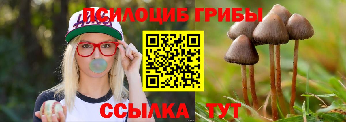 Псилоцибиновые грибы мицелий  дарнет шоп  Асбест  Вход с VPN 